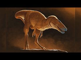 Учёные нашли в Монголии нового родственника Т-рекса