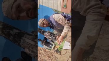 Глумление над книгой Алихаджи аль-К1ик1уний