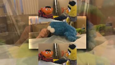 запрос от @ericajames-y1r: PLPMV The Crazy Muppets (2004) Luke’s 1st Video Scan