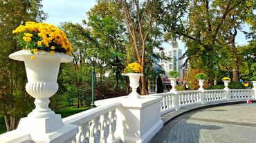 Осенний Сад Шевченко. Харьков в октябре. 4.10.2025