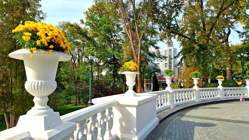 Осенний Сад Шевченко. Харьков в октябре. 4.10.2025