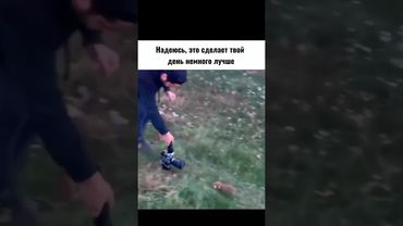 Хотя бы немного 🤏❤️ #animals #cuteanimals #viral #beautiful