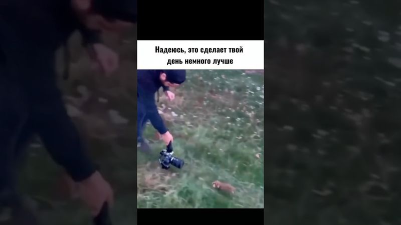 Хотя бы немного 🤏❤️ #animals #cuteanimals #viral #beautiful