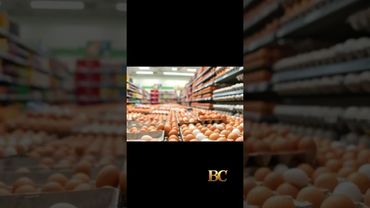 Salmonella outbreak linked to eggs sickens dozens of people across 7 states