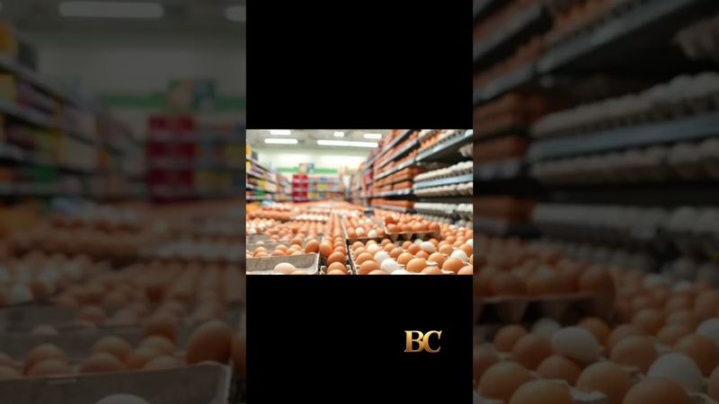 Salmonella outbreak linked to eggs sickens dozens of people across 7 states