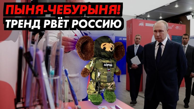 Володя не ожидал такой награды.