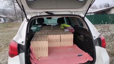 Экономныи транспорт для пчеловодов!