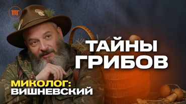 Тайна грибов - как они меняют мир и наше сознание? Миколог Михаил Вишневский