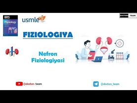 Nefron fiziologiyasi (Buyrak 1-dars) (Ayirish sistemasi)
