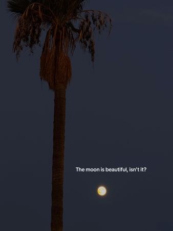 #moon #moonisbeautiful #fullmoon #moonlovers #for #foryoupage #moonli...