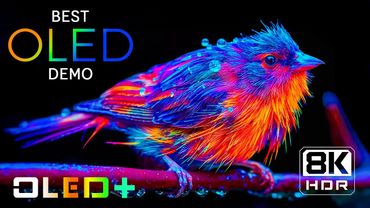 SPECIAL OLED - Majestic Views in 8K HDR | Dolby Vision™