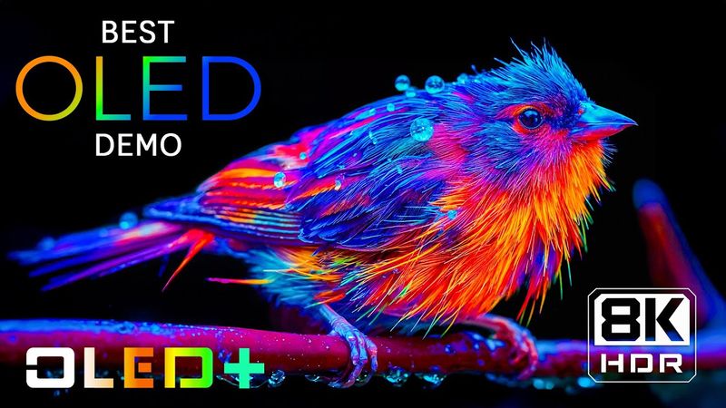 SPECIAL OLED - Majestic Views in 8K HDR | Dolby Vision™