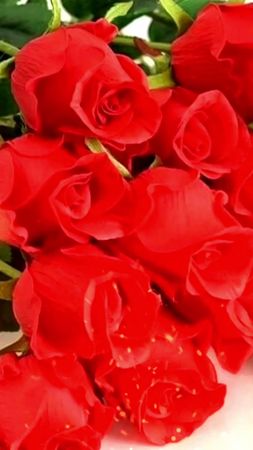 Для тебя ❤️❤️❤️для тебя ❤️❤️❤️