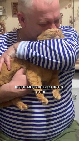 спалился #рек #тренд #fyp #папаикот