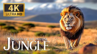 Secrets of the Pristine Jungle 4K 🌿 Stunning Discovery of Majestic Animals with Tranquil Piano