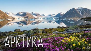 Арктика: Жизнь за Полярным Кругом | Интересные факты про Арктику