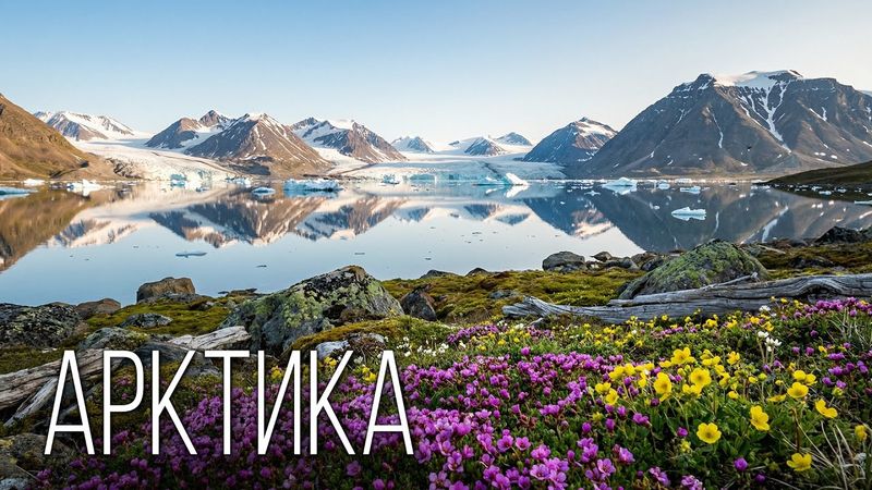 Арктика: Жизнь за Полярным Кругом | Интересные факты про Арктику