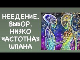 НЕЕДЕНИЕ. ВЫБОР.НИЗКОЧАСТОТНАЯ ШПАНА