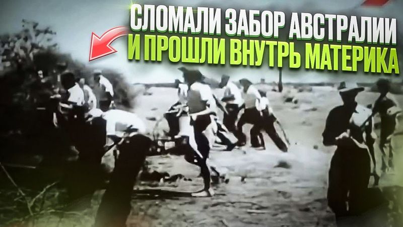 Забор Австралии сломали и прошли внутрь континента. Их ожидало...