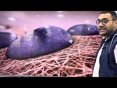 Endocrine crash course-3 (القصر العيني)