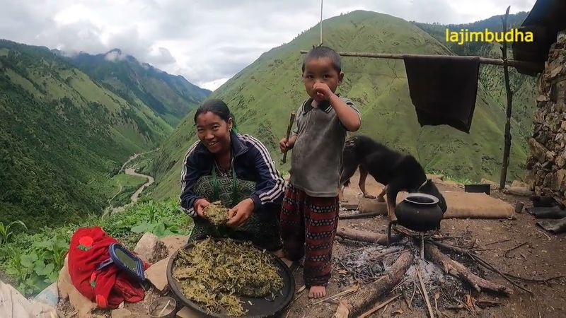 Dhokoya the name of wild vegetable || lajimbudha ||