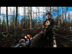 Октябрь за окном: что делаем дома на Аляске