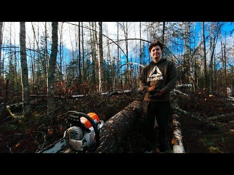 Октябрь за окном: что делаем дома на Аляске