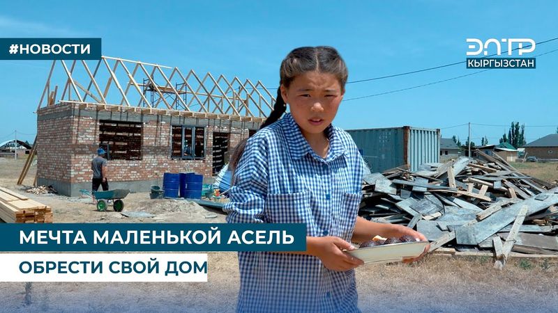 МЕЧТА МАЛЕНЬКОЙ АСЕЛЬ ОБРЕСТИ СВОЙ ДОМ