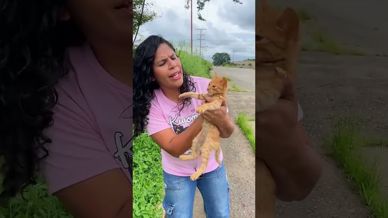 Ayudemos a este gatito🥺