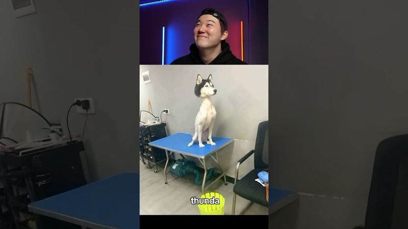 Try Not to Laugh Challenge 1248 🤣 #funny ⁠#shorts #viral