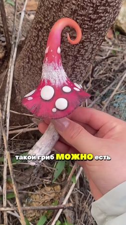 #ПопулярнаяНаука#знания#вирусныетиктоки#обмензнаниями#популярнаянаука