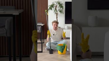 Что может вертикальный моющий пылесос за 10 000