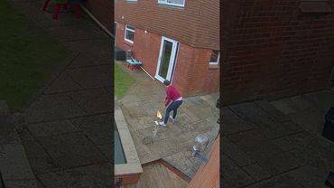 My wife went into the garden at the perfect time 🤣😲 (🎥: Collab)