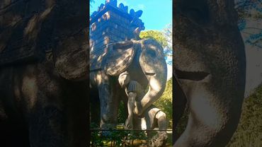 УДИВИТЕЛЬНАЯ ИТАЛИЯ🇮🇹#обзор #рекомендации #путешествия #мир #история #жизнь #шортс #интересно