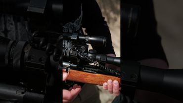 Барс-1 5,6x39 mm #shorts