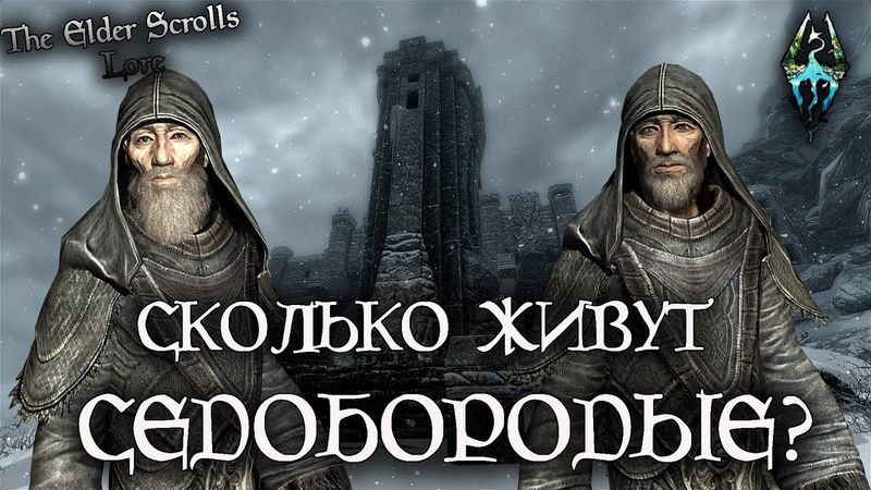 Сколько живут Седобородые? | TES Лор [AshKing]