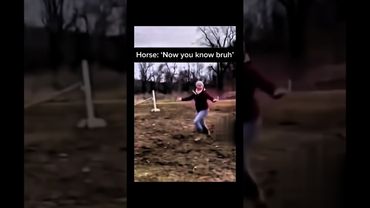 Subscribe for more inspiring content! #pets #funnyanimals #horse