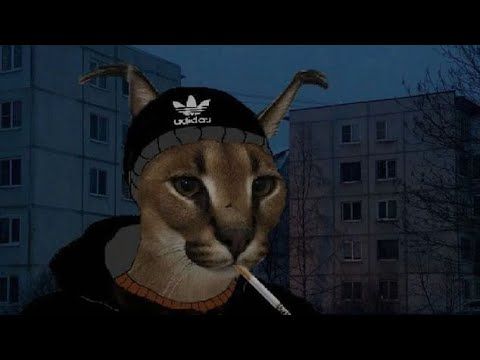 Mashup Face × Molchat Doma Юморист для думеров