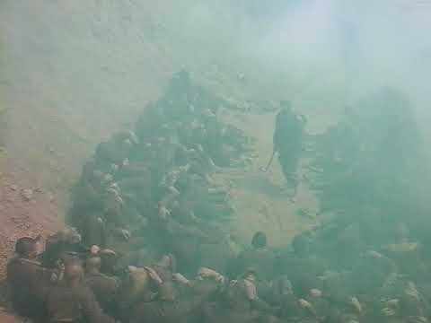 Boinas verdes despedida