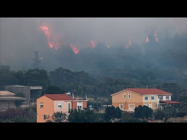 Под Афинами бушует лесной пожар: людей эвакуируют