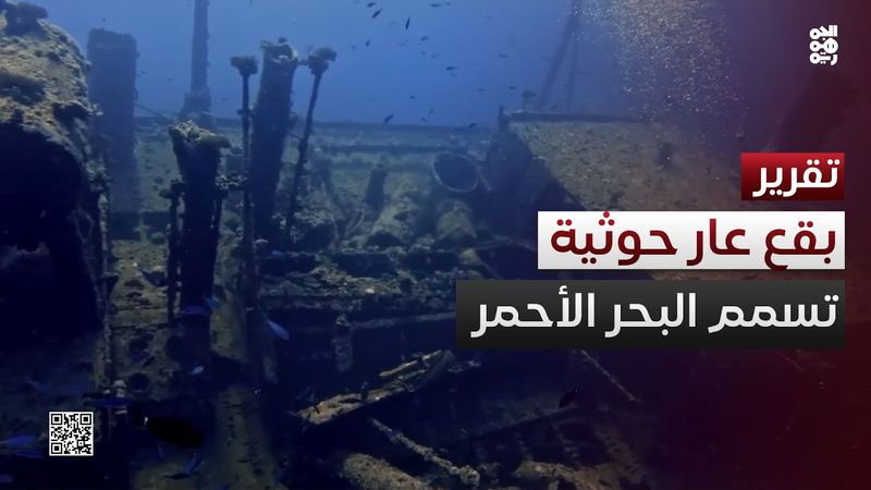 بقع العار الحوثية تسمم البحر الأحمر: انقراض.. اختناق وخراب