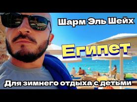 🇪🇬ЧТО ТВОРИТСЯ НА ПЛЯЖЕ PICKALBATROS AQUA BLU RESORT - SHARM EL SHEIKH  ДЛЯ ЗИМНЕГО ОТДЫХА С ДЕТЬМИ