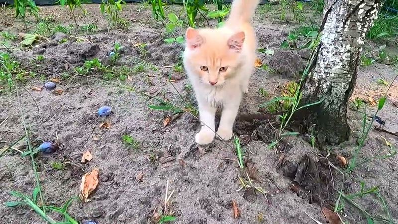 #Славянск. 31 августа 2025г. Вечер.