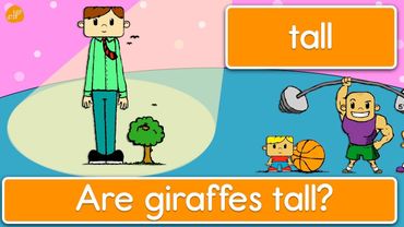 Learn Opposites - Phrases and Patterns for Kids by ELF Learning