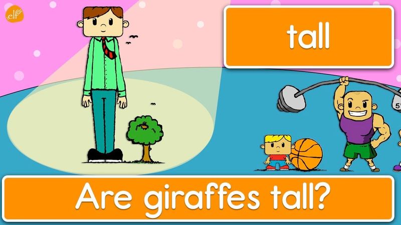 Learn Opposites - Phrases and Patterns for Kids by ELF Learning