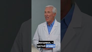 Алкоголь или мухомор? #мухоморныймикродозинг