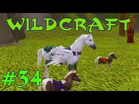 WildCraft Симулятор жизни зверей Онлайн#34 Играем за семью ЛОШАДЕЙ