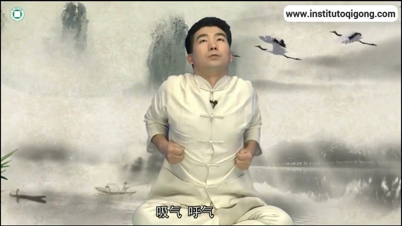 3 primavera · despertar de los insectos