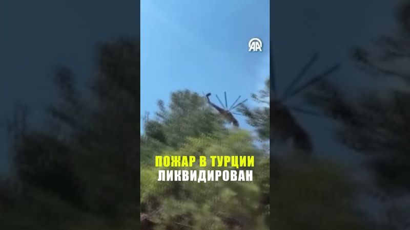 В Турции потушили крупный лесной пожар