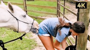 BEST Pets on the Internet 😂 | Funny Videos in 4K